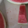 鲜木 西瓜无籽8424 冰糖麒麟西瓜 时令新鲜水果皮薄多汁精选品质整箱1粒装大果净重[5-6斤]晒单图