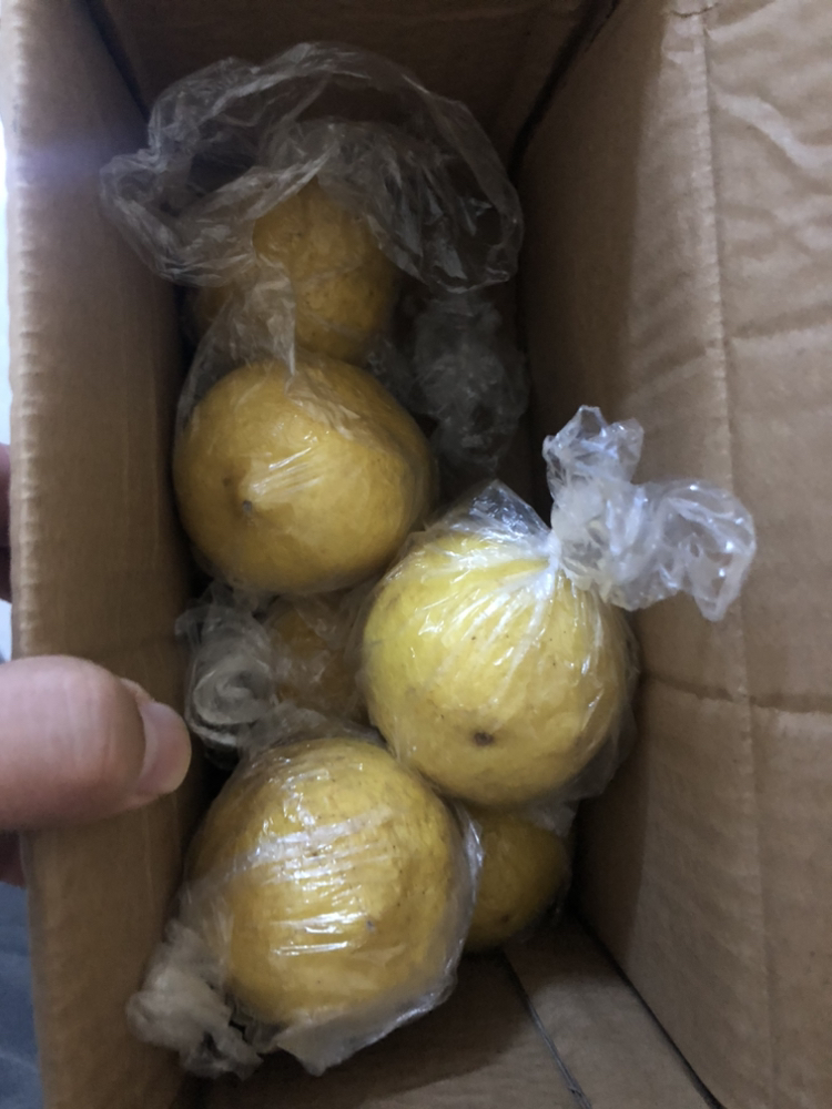 [熊猫鸟]重庆新鲜黄柠檬 2斤 香味浓郁 皮薄多汁 新鲜水果晒单图
