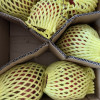 [西沛生鲜] 京都一号红心火龙果 净重4.8-5.2斤 中果 箱装 热带 水果 当季新鲜晒单图