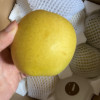 [苏鲜生]精品皇冠梨 新鲜水果 松脆多汁 净重8.7-9.5斤 单果200g以上晒单图