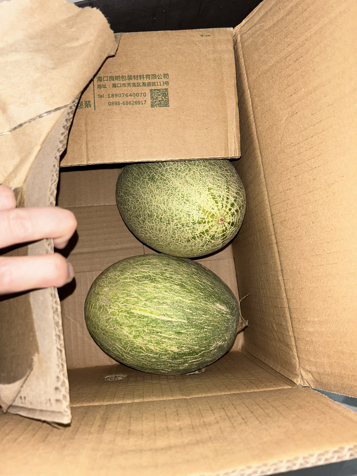 鲜贝达 西州蜜25号5斤[净重4.5-5斤][2-3个] 生鲜水果 哈密瓜晒单图
