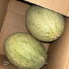 鲜贝达 西州蜜25号5斤[净重4.5-5斤][2-3个] 生鲜水果 哈密瓜晒单图
