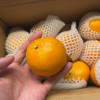 正宗广西武鸣沃柑橘子5斤新鲜水果当季桔子晒单图
