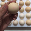 苗佳新可生食蛋绿色无抗鲜鸡蛋无菌蛋30枚/1500g晒单图