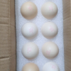苗佳新可生食蛋绿色无抗鲜鸡蛋无菌蛋20枚/1000g晒单图