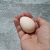 苗佳新可生食蛋绿色无抗鲜鸡蛋无菌蛋10枚/500g晒单图