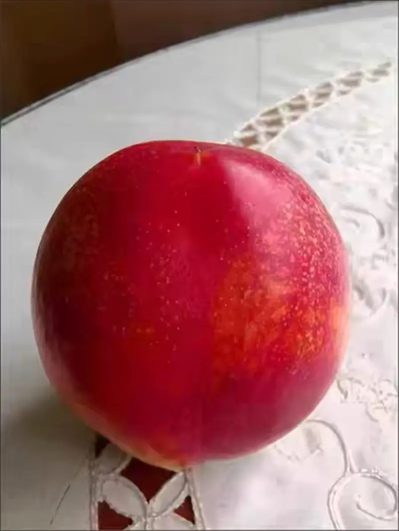 鲜贝达 黄心油桃3斤装[1斤6个左右]桃子 新鲜水果晒单图
