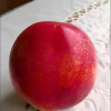 鲜贝达 黄心油桃3斤装[1斤6个左右]桃子 新鲜水果晒单图