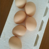 [西沛生鲜]新鲜土鸡蛋散养富硒鸡蛋喷码装 20枚 农家谷物虫草孕妇宝宝笨鸡蛋晒单图