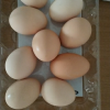 [西沛生鲜]新鲜土鸡蛋散养富硒鸡蛋喷码装 20枚 农家谷物虫草孕妇宝宝笨鸡蛋晒单图