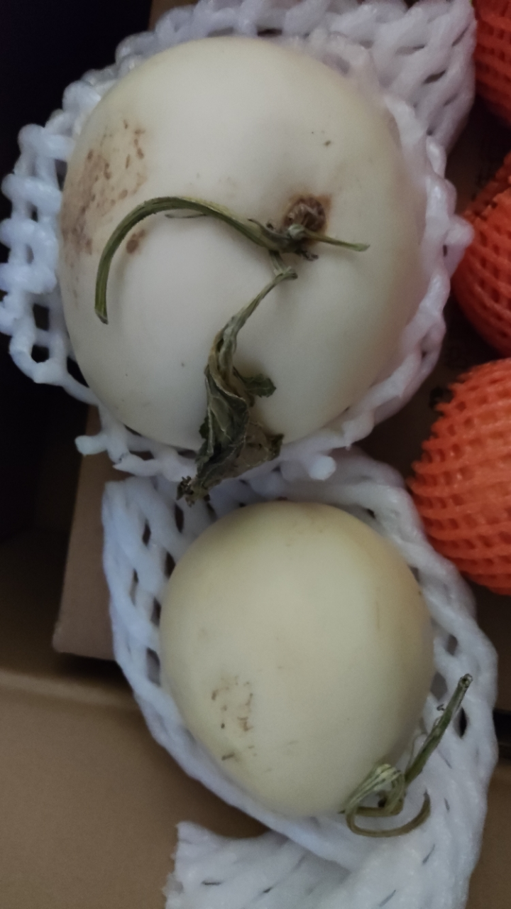 [苏鲜生]陕西阎良甜瓜 2.8-3斤装 2-3枚 箱装 蜜瓜香瓜 当季甜瓜新鲜水果晒单图