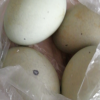 [西沛生鲜]河南 特产 松花皮蛋 20枚 60-70g/个 正宗土鸭蛋新鲜腌制溏心皮蛋河南特产变蛋晒单图