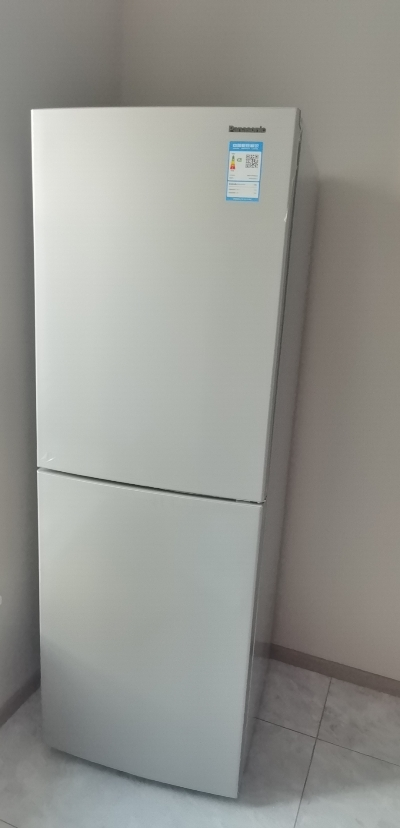 [品牌自营]松下冰箱(Panasonic) 240L升双门小冰箱家用两门小型风冷无霜抗菌电冰箱 NR-EB24WSP-S晒单图