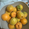 [苏鲜生]陕西大黄杏子新鲜水果 2斤 当季特大巨蜜金太阳杏酸甜杏子整箱晒单图