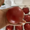 [苏鲜生]山东新鲜普罗旺斯西红柿 番茄 沙瓤西红柿 净重2.7-3斤 箱装 新鲜蔬菜 苏鲜生晒单图