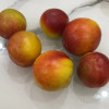 鲜贝达 黄心油桃5斤装[净重4.5斤][1斤7个左右)桃子 新鲜水果晒单图