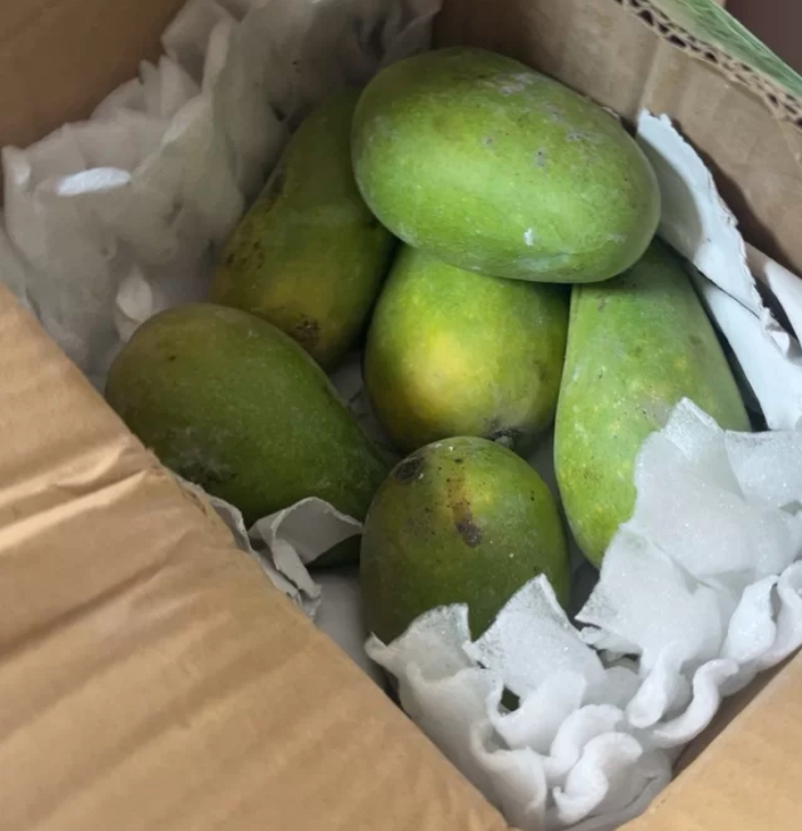 [西沛生鲜]新鲜小台芒果 5斤装 小果 单果50-70g左右 新鲜水果 香甜可口晒单图