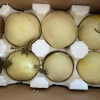 [苏鲜生]陕西阎良甜瓜 8.5-9斤装 4-9个 箱装 蜜瓜香瓜 当季甜瓜新鲜水晒单图