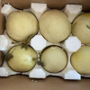 [苏鲜生]陕西阎良甜瓜 8.5-9斤装 4-9个 箱装 蜜瓜香瓜 当季甜瓜新鲜水晒单图