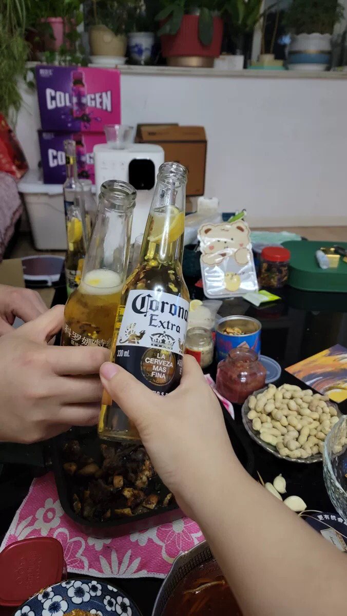 科罗娜(Corona)啤酒墨西哥风味小麦精制啤酒330ml*6瓶晒单图