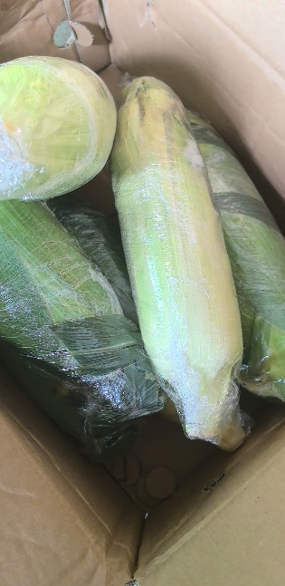 [西沛生鲜]云南水果玉米 净重5斤装 箱装 香甜可口 时令蔬菜 西沛晒单图