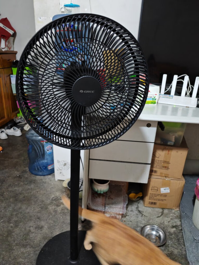 格力(GREE)落地扇FD-35X65h7电风扇家用节能省电学生立式大风量客厅宿舍机械七叶扇黑色晒单图