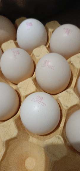 苗佳新X五个农民可生食蛋绿色无抗鲜鸡蛋无菌蛋30枚1500g晒单图