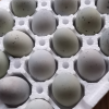 [西沛生鲜]河南 特产松花皮蛋 20枚 单果50-60g 正宗土鸭蛋新鲜腌制溏心皮蛋河南特产变蛋晒单图