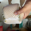 [西沛生鲜]海南椰青 当季热带水果 水果椰子 4个装 现摘现发 营养美味 清甜可口 西沛晒单图