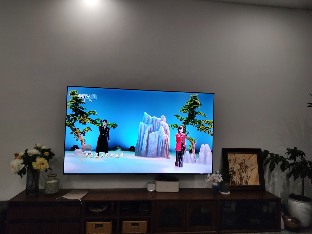 TCL 75V8E 75英寸120Hz高清声控投屏智能全面屏网络液晶平板电视晒单图