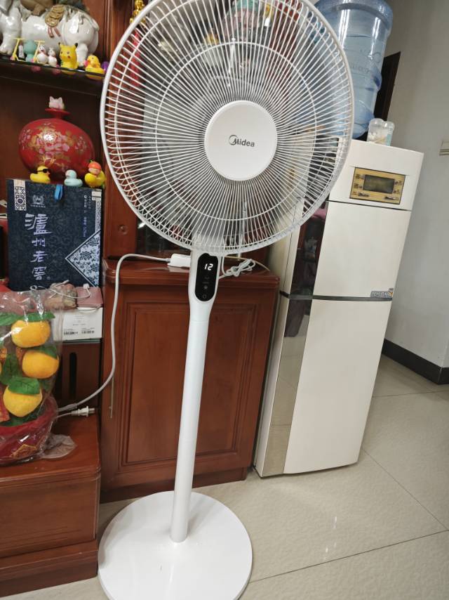 美的(Midea)电风扇落地扇九叶柔风立式预约定时直流变频扇变频遥控款12H定时 FS40-18AR(线下同款)晒单图