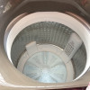海尔(Haier) 10公斤大容量波轮洗衣机全自动直驱变频 蝶型水流 除螨洗租房神器以旧换新EB100B20Mate1晒单图