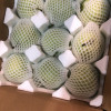 [西沛生鲜]精品皇冠梨 新鲜水果 松脆多汁 净重4.7-5.2斤 单果200g以上 西沛生鲜晒单图