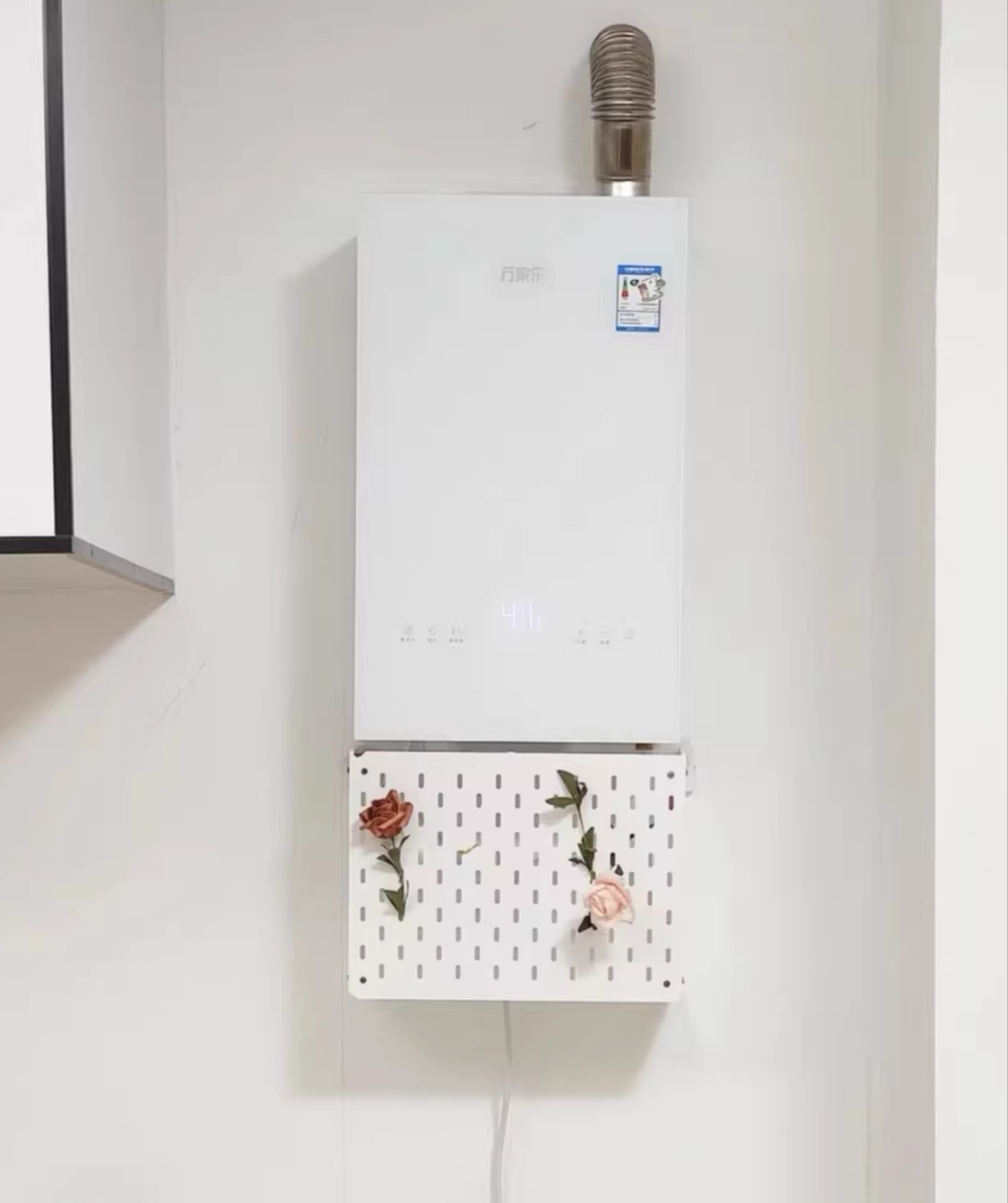 万家乐SQ30-16L5(F)*12T天然气强排式燃气快速热水器 玻璃玉石白晒单图
