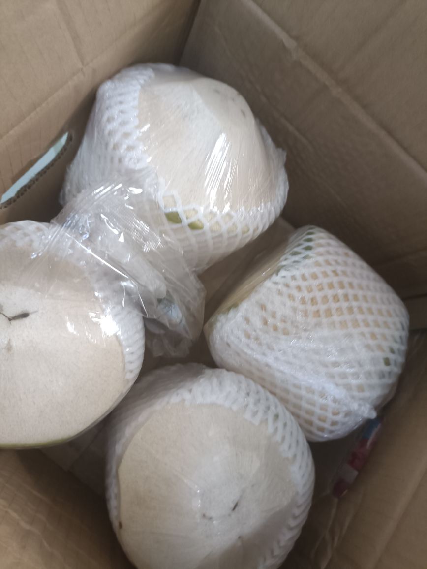 [苏鲜生]海南椰青 当季热带水果 水果椰子 4个装(2-3斤/个) 现摘现发 营养美味 清甜可口晒单图