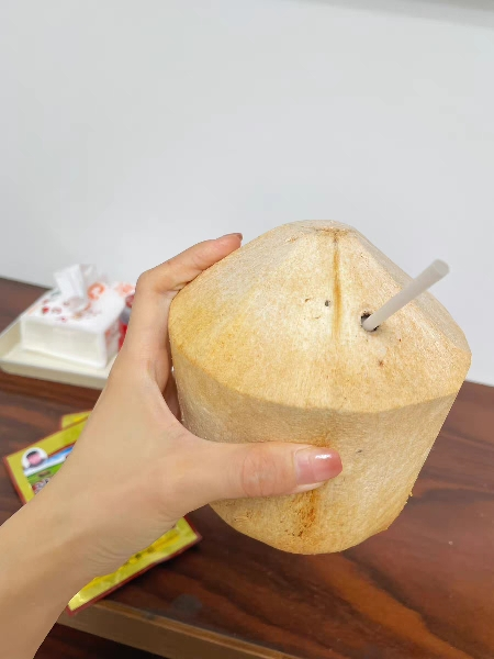 [西沛生鲜]海南椰青 当季热带水果 水果椰子 4个装 现摘现发 营养美味 清甜可口 西沛晒单图