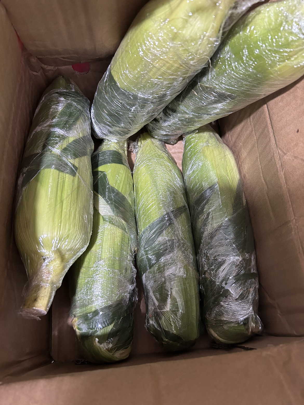 [西沛生鲜]云南水果玉米 净重5斤装 箱装 香甜可口 时令蔬菜 西沛晒单图