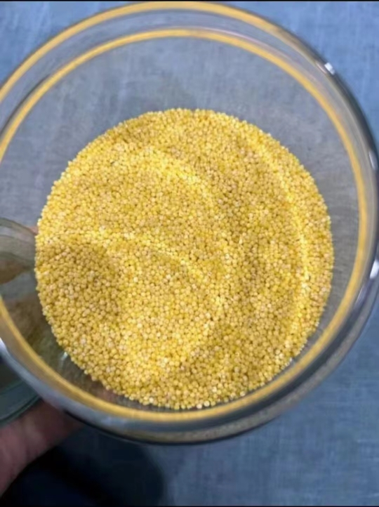 [2斤真空]鹤来香黄小米500g*2小米新米农家小黄米五谷杂粮粗粮小米粥真空装酥田推荐月子米晒单图