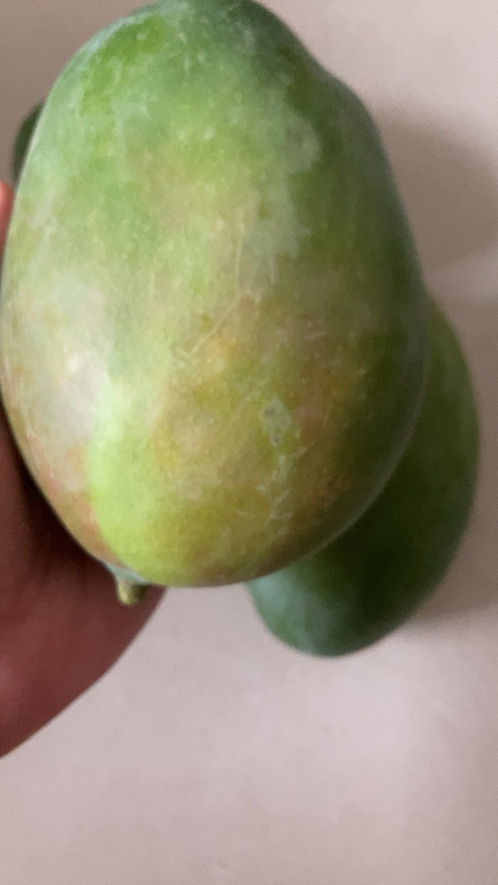 [苏鲜生] 新鲜凯特芒果 净重5斤 特大果 单果600g左右 当季整箱新鲜现摘热带时令水果甜心芒应季水果晒单图