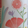农夫山泉 茶π西柚茉莉花茶500ml*15瓶 整箱晒单图