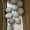 [西沛生鲜]河南 特产 松花皮蛋 10枚 60-70g/个 正宗土鸭蛋新鲜腌制溏心皮蛋河南特产变蛋晒单图