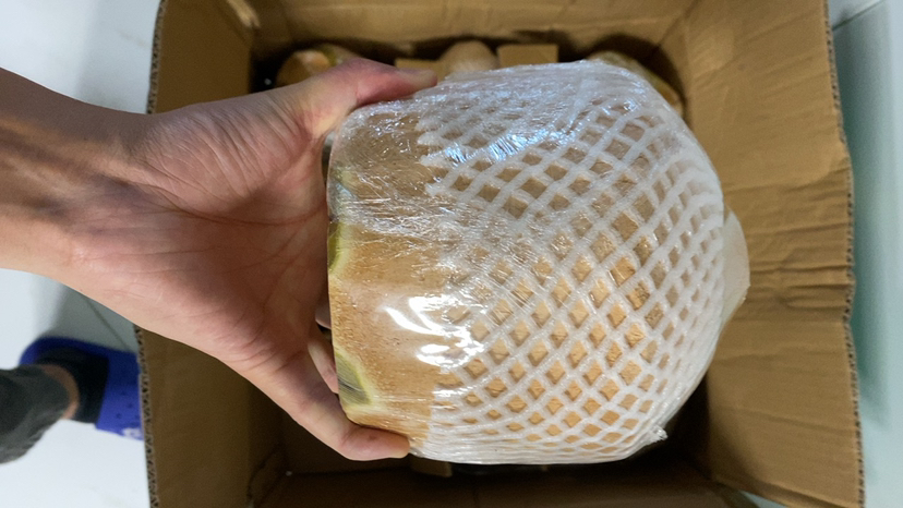[苏鲜生]海南椰青 当季热带水果 水果椰子 9个装(2-3斤/个) 现摘现发 营养美味 清甜可口晒单图