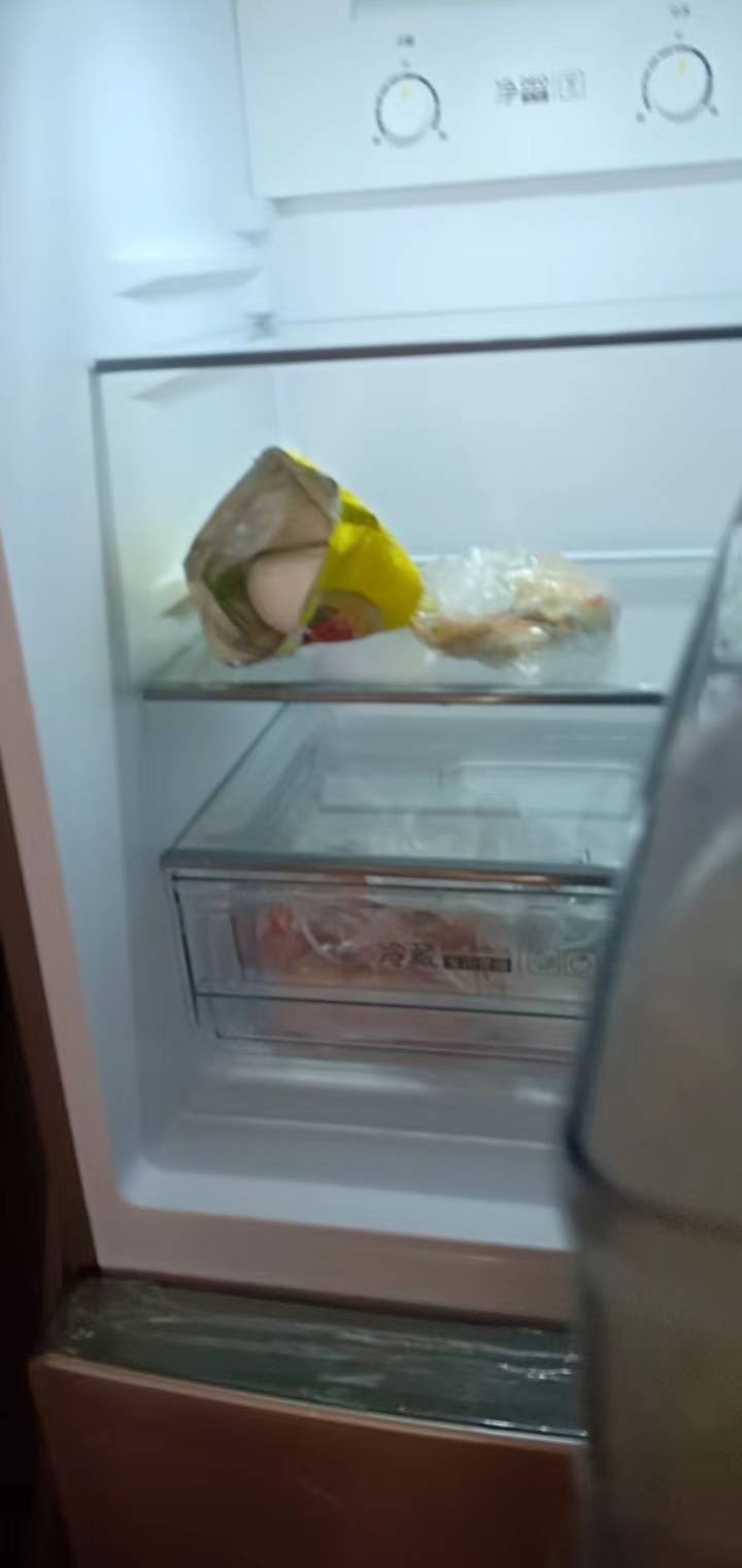 海尔冰箱190升双门冰箱家用两门风冷无霜 低温补偿电冰箱 190WDPT晒单图
