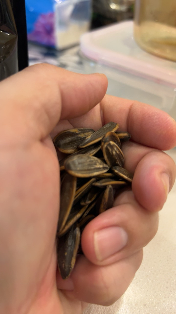 老街口 瓜子 奶油味500g*1袋 坚果炒货 葵花籽 特产零食品批发晒单图