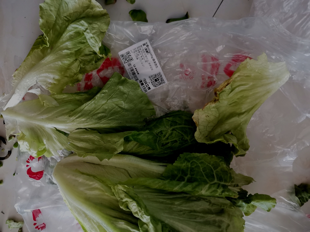 [4袋]溜溜梅绿茶味青梅60g*4青梅蜜饯果干多口味梅子干果脯孕妇儿童追剧休闲零食苏宁宜品晒单图