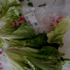 [4袋]溜溜梅绿茶味青梅60g*4青梅蜜饯果干多口味梅子干果脯孕妇儿童追剧休闲零食苏宁宜品晒单图