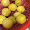 鲜贝达 黄金百香果[钦蜜9号]3斤中果[单果60-70g]新鲜水果VC晒单图