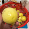 鲜贝达 黄金百香果[钦蜜9号]3斤中果[单果60-70g]新鲜水果VC晒单图