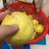 鲜贝达 黄金百香果[钦蜜9号]3斤中果[单果60-70g]新鲜水果VC晒单图
