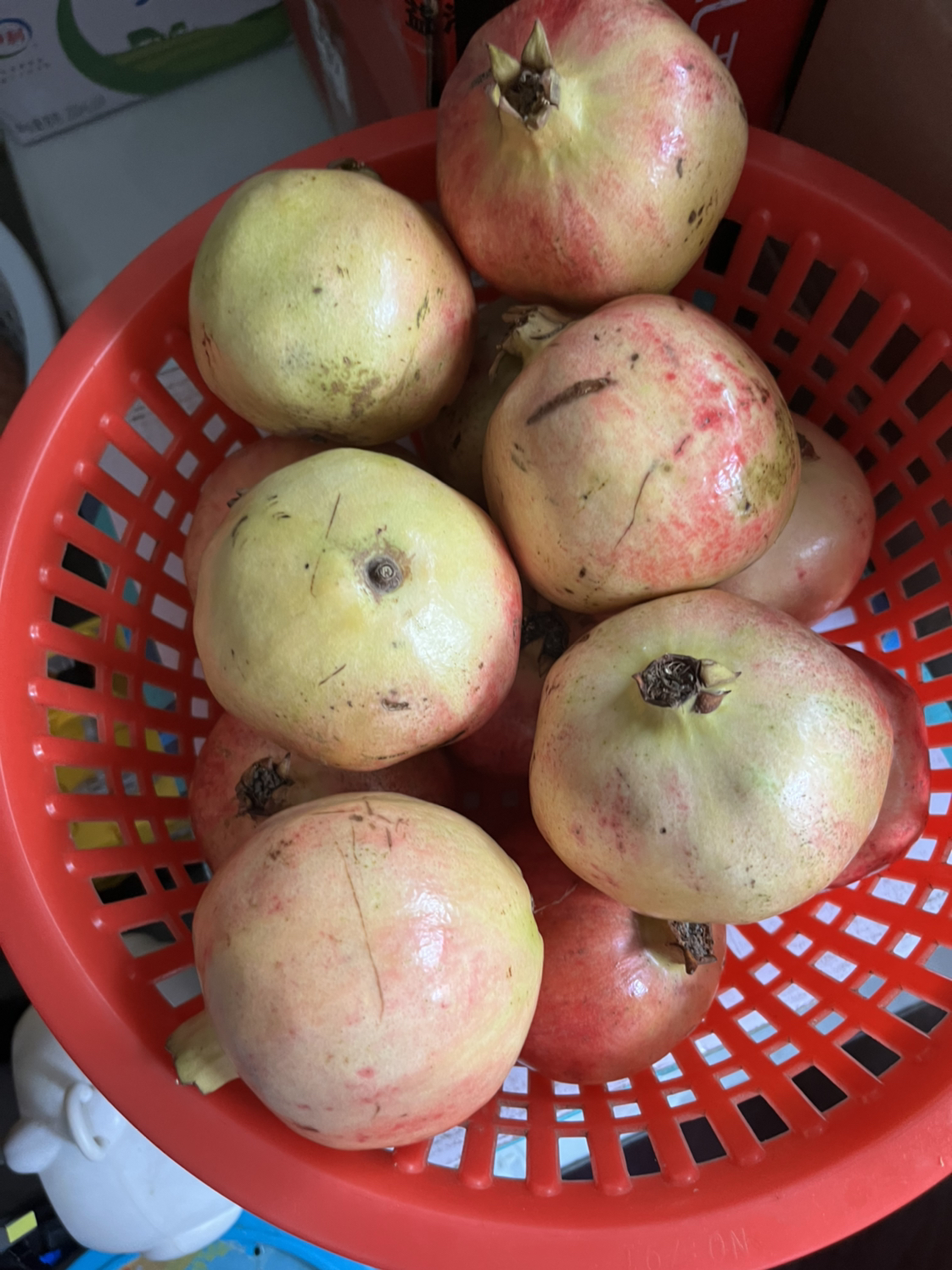 鲜贝达 突尼斯软籽石榴带箱9斤装[单果250g起]新鲜水果晒单图
